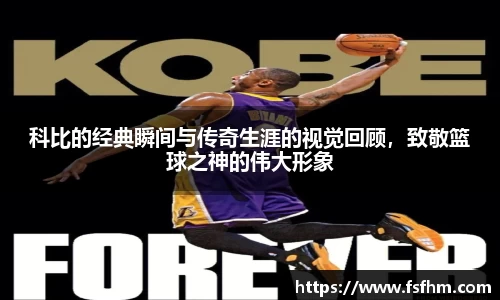 emc易倍体育
